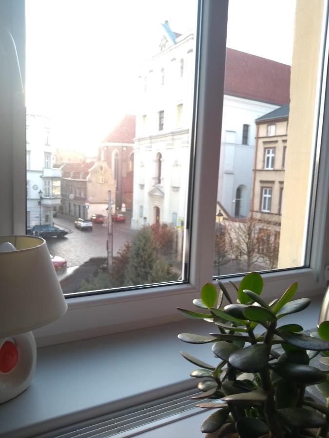 Hostel Staromiejski Грудзёндз Экстерьер фото